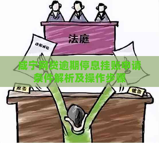 咸宁网贷逾期停息挂账申请条件解析及操作步骤