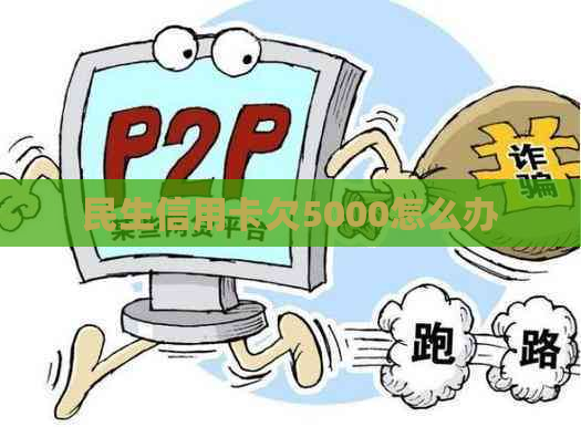 民生信用卡欠5000怎么办