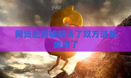 网贷逾期被起诉了双方调解成功了