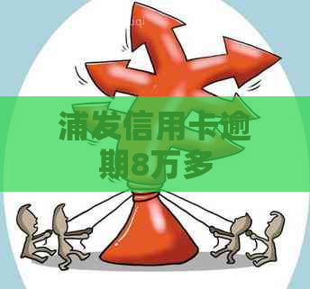 浦发信用卡逾期8万多