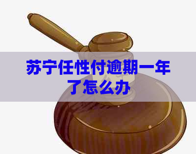 苏宁任性付逾期一年了怎么办