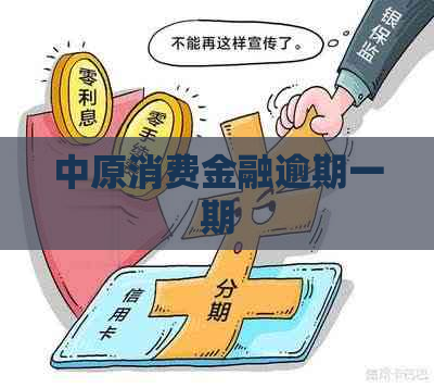 中原消费金融逾期一期