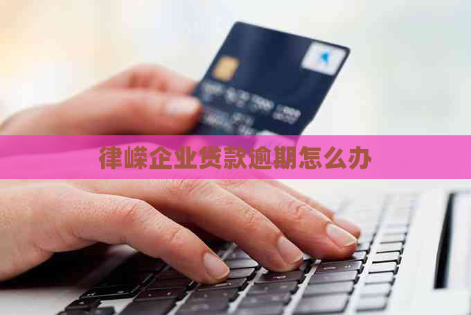 律嵘企业贷款逾期怎么办
