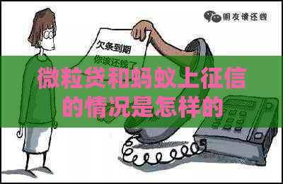 微粒贷和蚂蚁上的情况是怎样的
