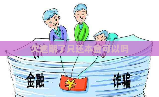 欠逾期了只还本金可以吗