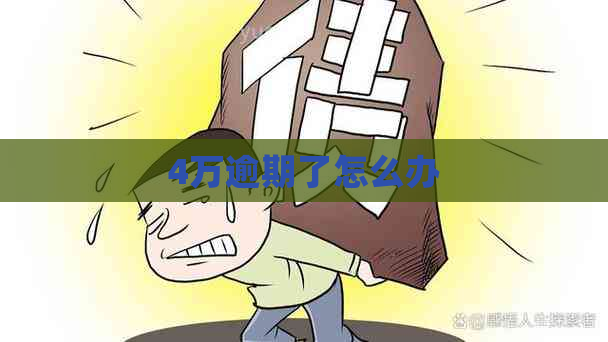 4万逾期了怎么办