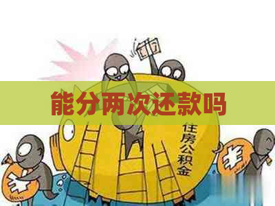 能分两次还款吗