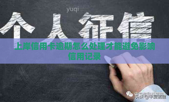上岸信用卡逾期怎么处理才能避免影响信用记录