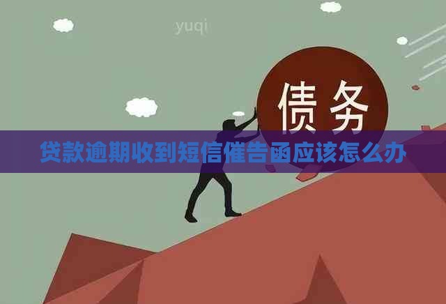 贷款逾期收到短信催告函应该怎么办