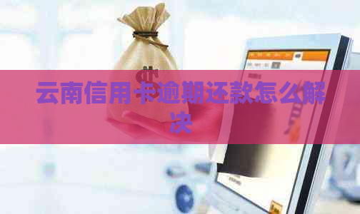 云南信用卡逾期还款怎么解决