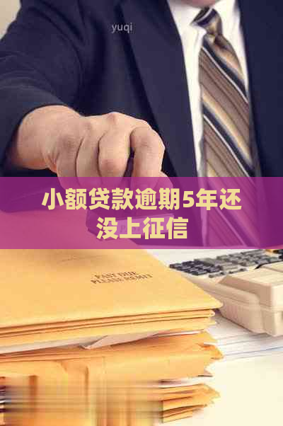 小额贷款逾期5年还没上