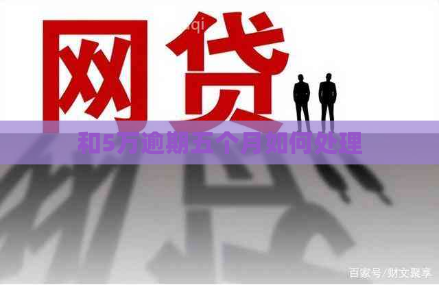 和5万逾期五个月如何处理