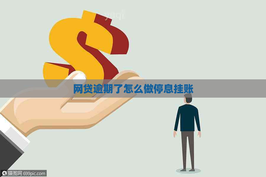 网贷逾期了怎么做停息挂账