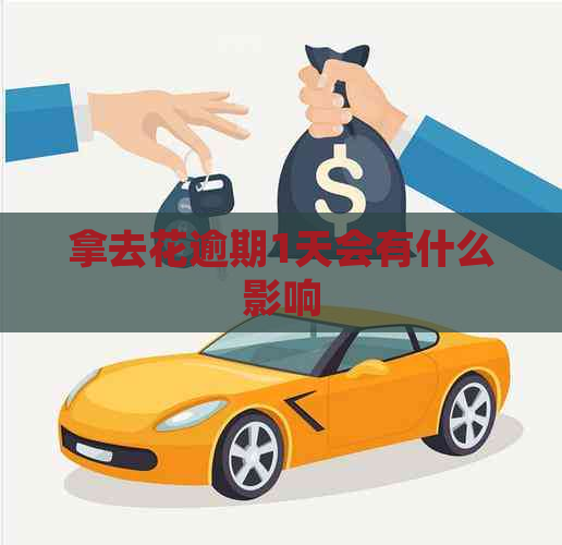 拿去花逾期1天会有什么影响