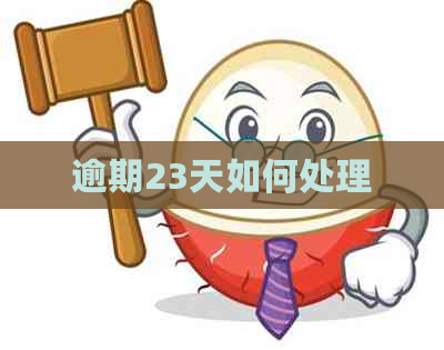 逾期23天如何处理
