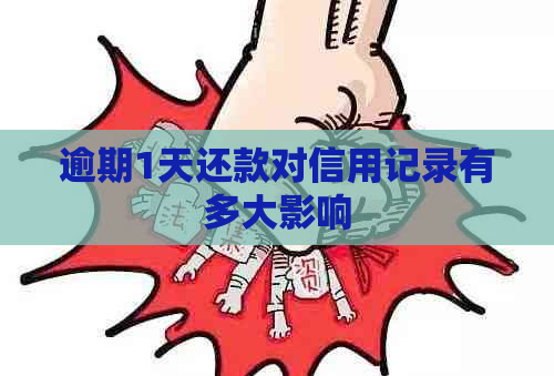 逾期1天还款对信用记录有多大影响