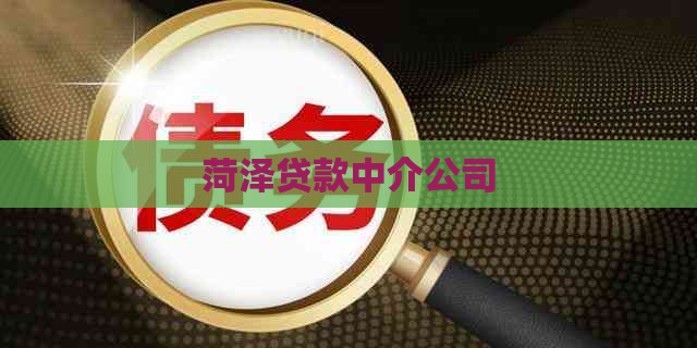 菏泽贷款中介公司