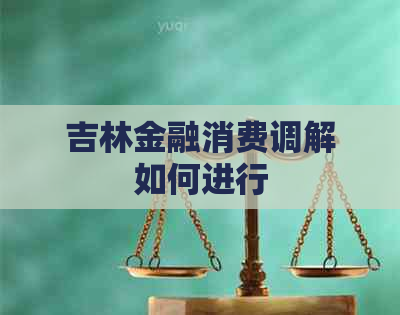 吉林金融消费调解如何进行