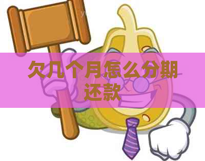 欠几个月怎么分期还款