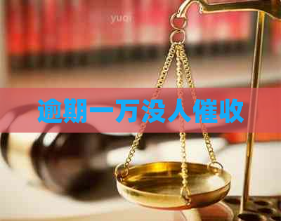 逾期一万没人