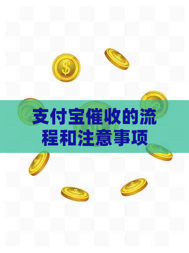 支付宝的流程和注意事项