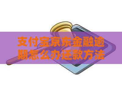 支付宝京东金融逾期怎么办还款方法有哪些