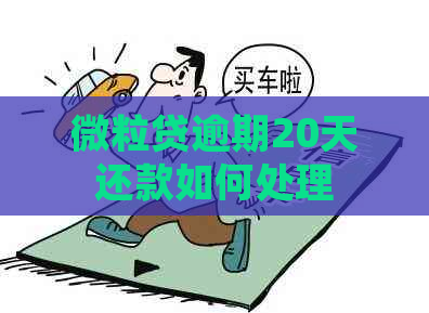 微粒贷逾期20天还款如何处理
