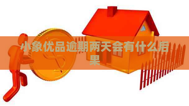 小象优品逾期两天会有什么后果