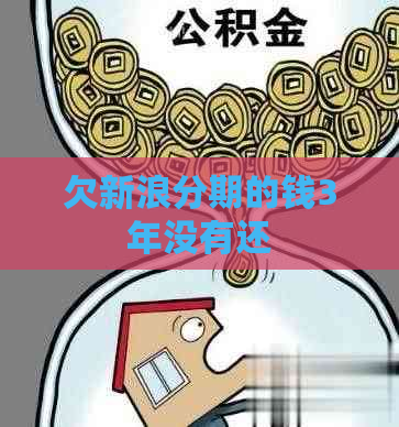 欠新浪分期的钱3年没有还