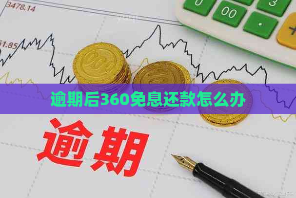 逾期后360免息还款怎么办