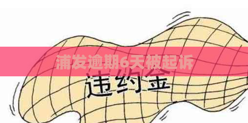 浦发逾期6天被起诉