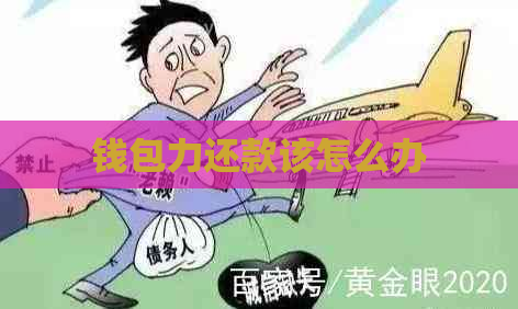 钱包力还款该怎么办