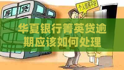 华夏银行箐英贷逾期应该如何处理