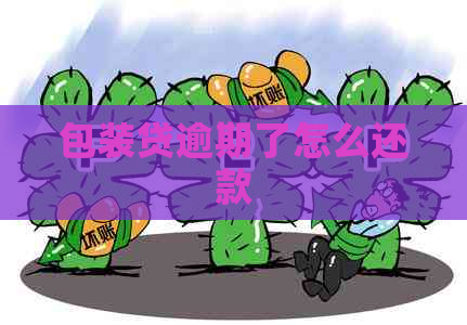 包装贷逾期了怎么还款