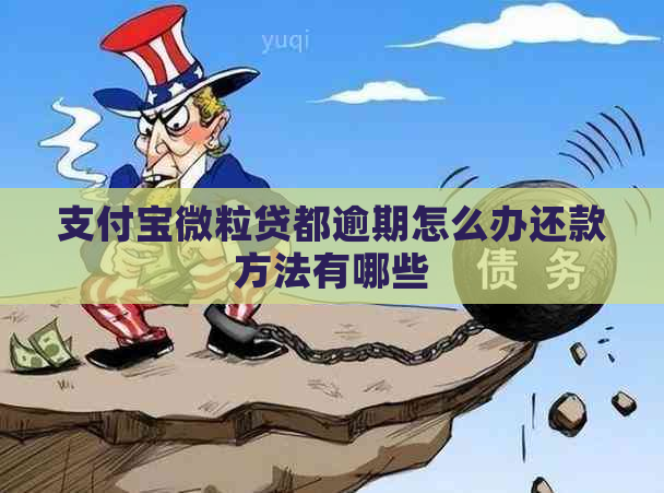 支付宝微粒贷都逾期怎么办还款方法有哪些