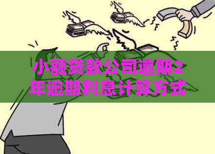 小额贷款公司逾期2年逾期利息计算方式