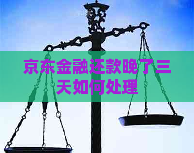 京东金融还款晚了三天如何处理