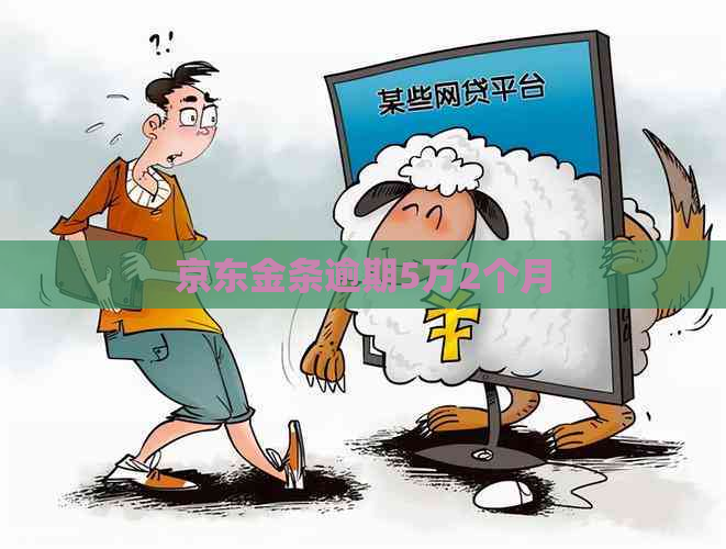 京东金条逾期5万2个月