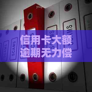 信用卡大额逾期无力偿还怎么办