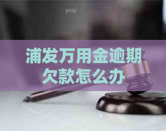 浦发万用金逾期欠款怎么办