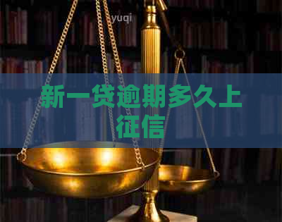 新一贷逾期多久上