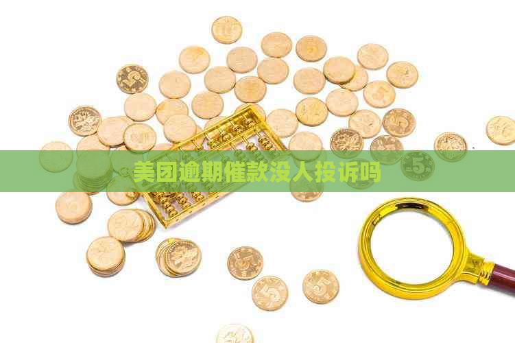 美团逾期催款没人投诉吗