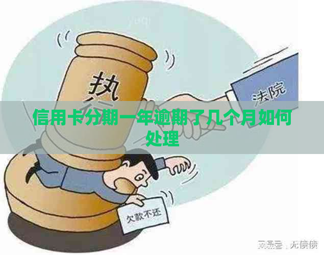 信用卡分期一年逾期了几个月如何处理