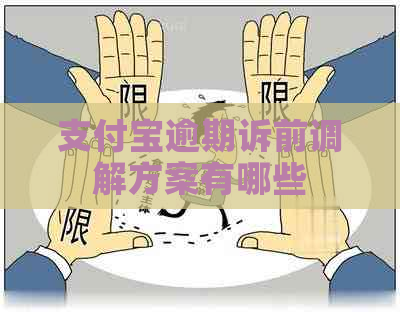支付宝逾期诉前调解方案有哪些