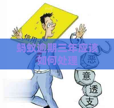 蚂蚁逾期三年应该如何处理