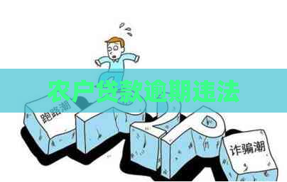 农户贷款逾期违法