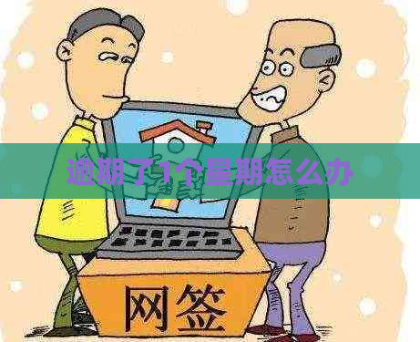 逾期了1个星期怎么办