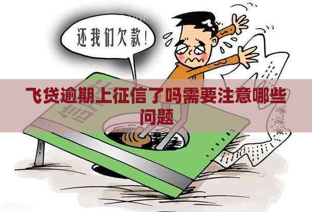 飞贷逾期上了吗需要注意哪些问题