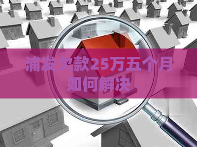 浦发欠款25万五个月如何解决