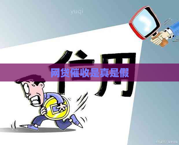 网贷是真是假
